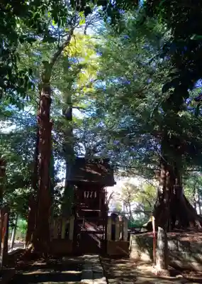 諏訪神社(東京都)