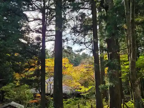 本宮神社（日光二荒山神社別宮）(栃木県)