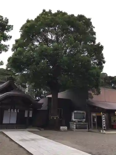 酒列磯前神社の本殿・本堂