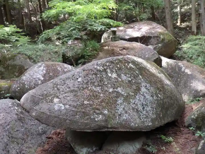 名草厳島神社の自然
