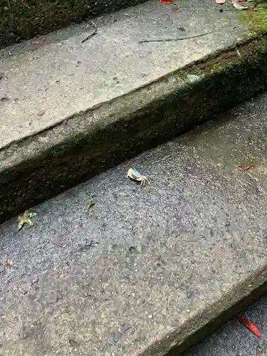 日本寺(千葉県)