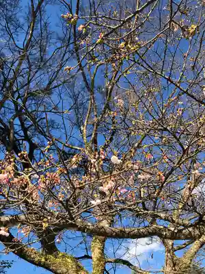 菅原神社(鹿児島県)