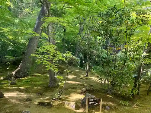 円通院(宮城県)