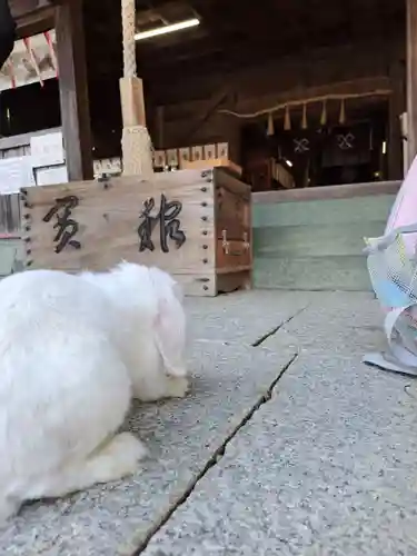 大御和神社(徳島県)