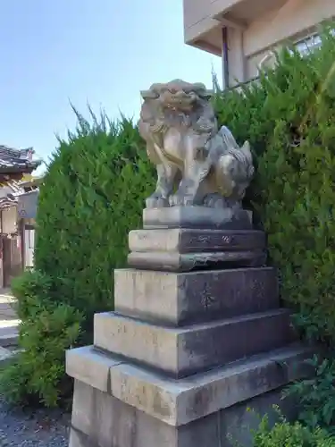 瀧尾神社の狛犬