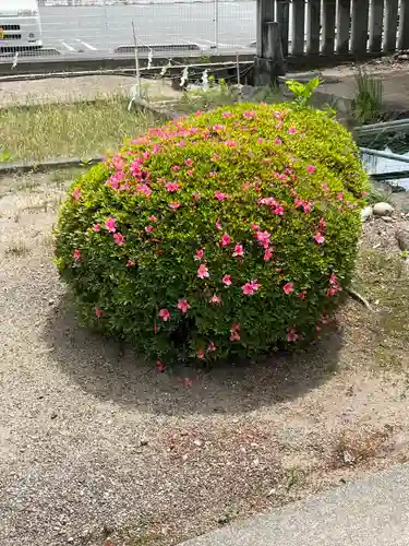 住吉神社(山梨県)