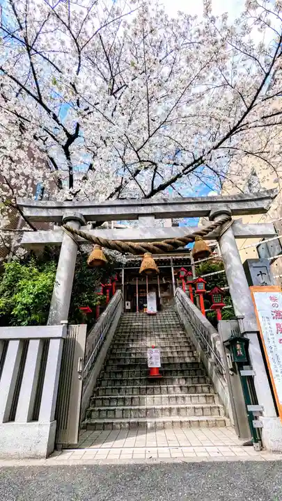 十番稲荷神社の鳥居