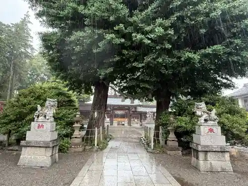 亀ケ池八幡宮(神奈川県)
