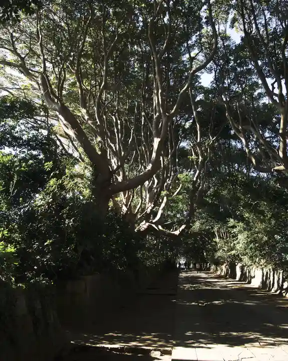 酒列磯前神社(茨城県)
