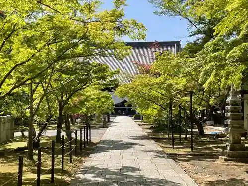 光明寺（粟生光明寺）(京都府)