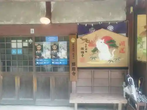 猫猫寺(京都府)
