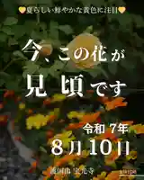 宝光寺(北海道)