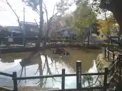 師岡熊野神社の周辺