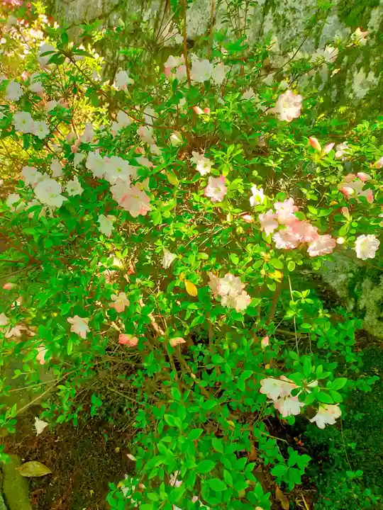 曼殊院門跡(京都府)