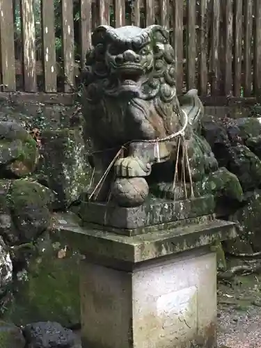 阿射加神社の狛犬