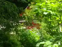 荏柄天神社の自然