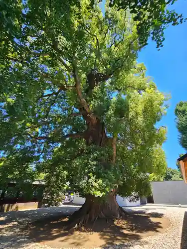 上野東照宮(東京都)