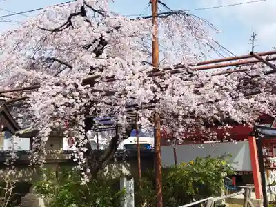 豊中不動寺（豊中不動尊）(大阪府)