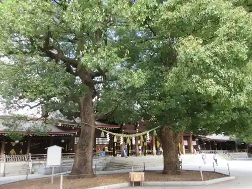 明治神宮の自然