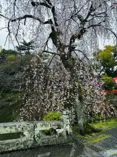 三嶋大社の{uncategorized: "未分類", other: "その他", undefined: "問題あり", building: "その他建物", grave: "お墓", sacred_gate: "鳥居", guardian: "狛犬", statue: "像", buddha: "仏像", history: "歴史", nature: "自然", garden: "庭園", animal: "動物", pagoda: "塔", temizu: "手水舎", mountain_gate: "山門・神門", sanctuary: "本殿・本堂", subordinate: "末社・摂社", art: "芸術", scenery: "景色", jizo: "地蔵", ema: "絵馬", goshuin: "御朱印", omikuji: "おみくじ", items: "授与品その他", amulet: "お守り", goshuincho: "御朱印帳", eats: "食事", festival: "お祭り", votive_dance: "神楽", shichigosan: "七五三参", wedding: "結婚式", experience: "体験その他", initially: "初詣", around: "周辺", anti_infection: "感染症対策"}