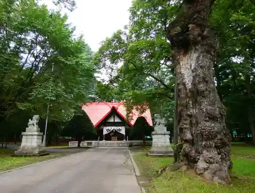 帯廣神社のその他建物