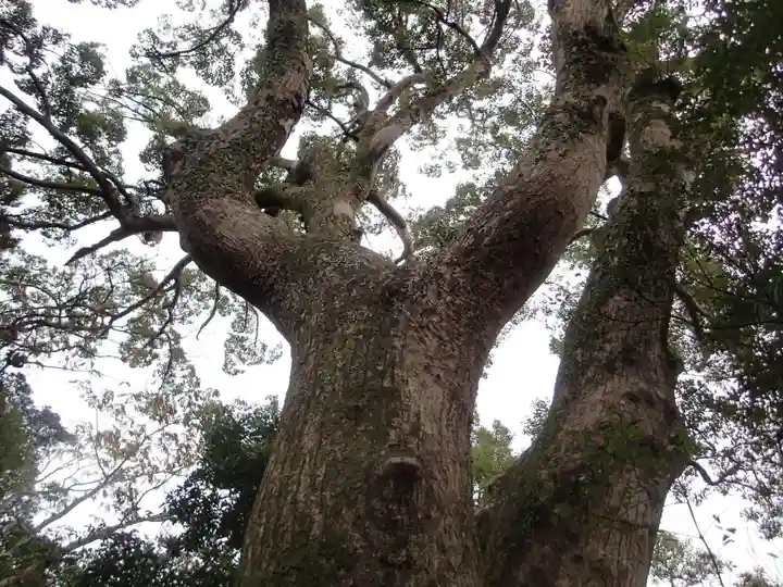 葭原神社(皇大神宮末社)の自然