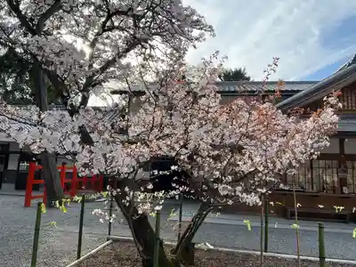 吉田神社(京都府)