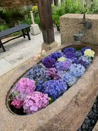 水堂須佐男神社の手水舎