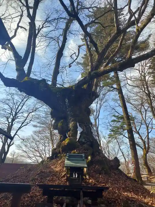 熊野皇大神社(長野県)