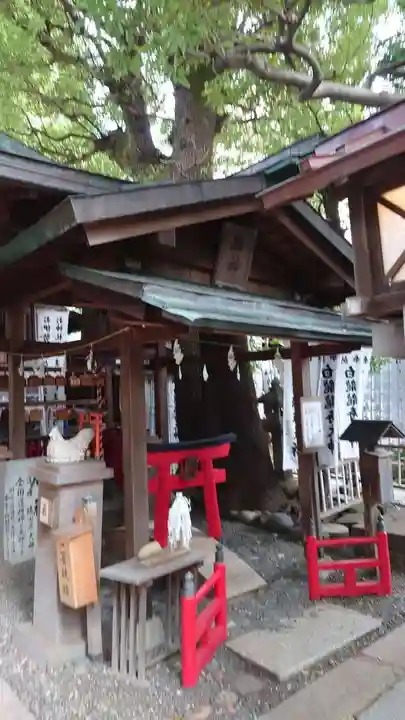 洲嵜神社の末社・摂社