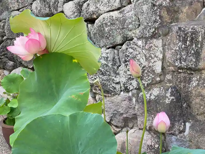長谷寺(奈良県)