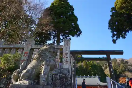 大山阿夫利神社の鳥居