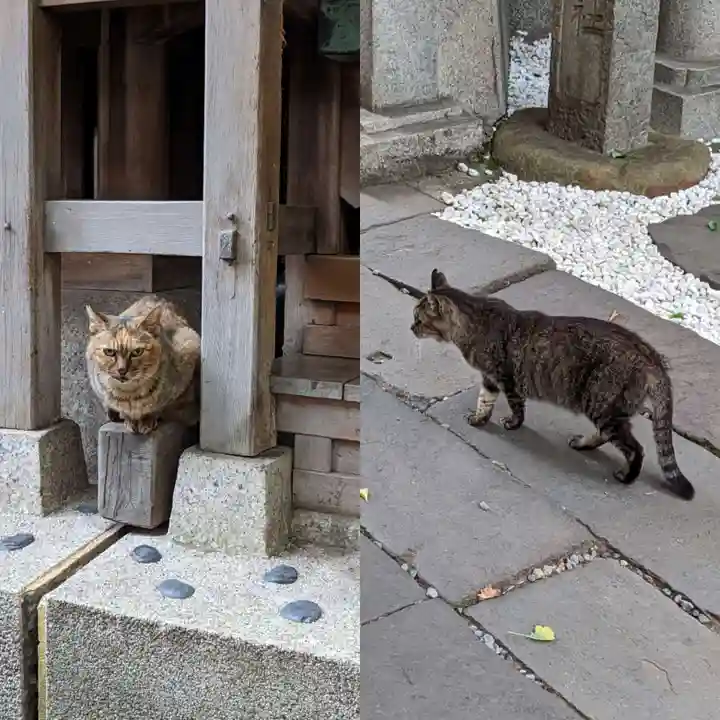 小野照崎神社の動物