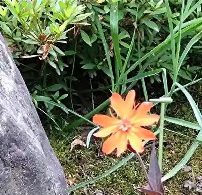 天龍寺(京都府)