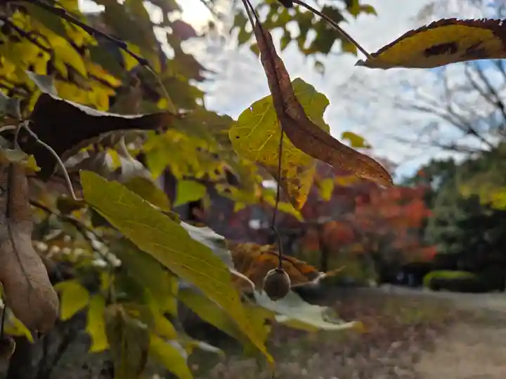 太山寺(兵庫県)