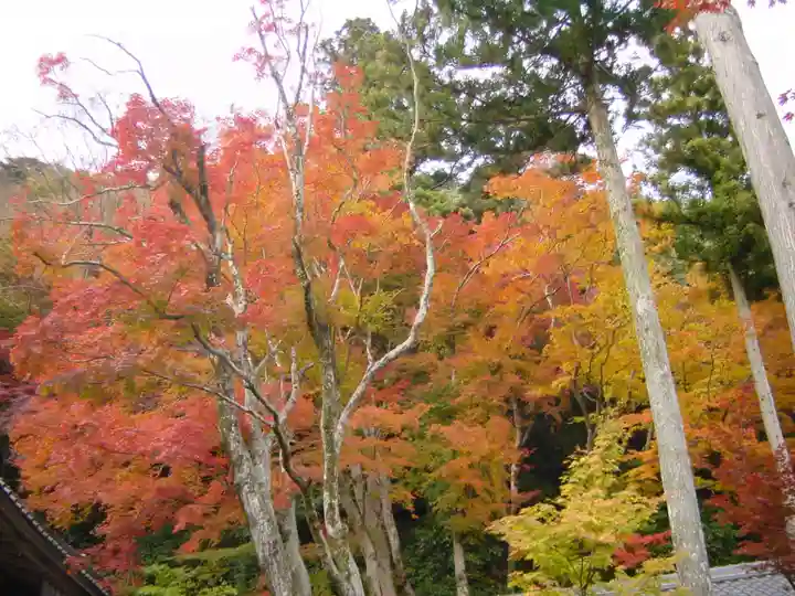 永源寺(滋賀県)