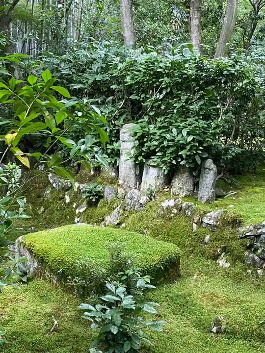 地蔵院(京都府)