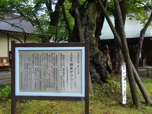 蠶養國神社の歴史