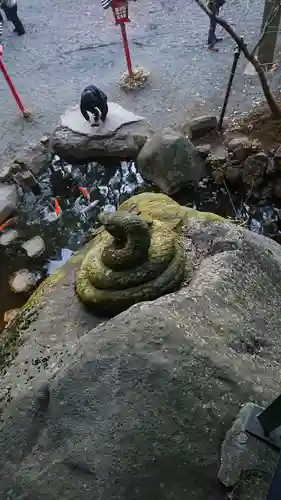 來宮神社の狛犬