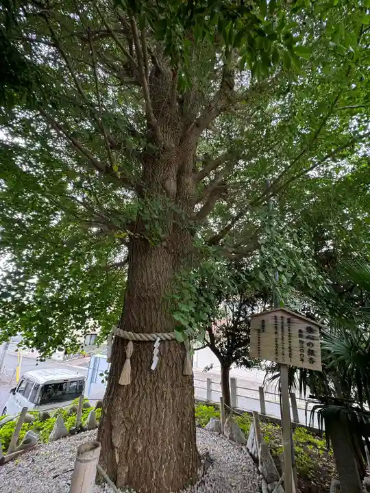 鹿嶋神社(茨城県)