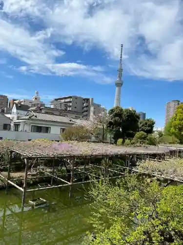 亀戸天神社の庭園