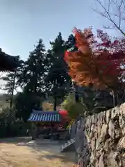 随願寺の手水