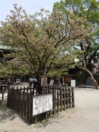 白峯神宮の自然