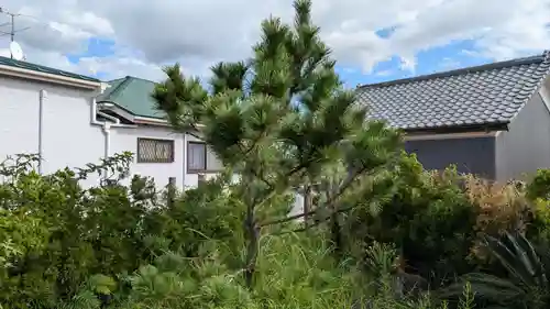 加麻土神社の自然