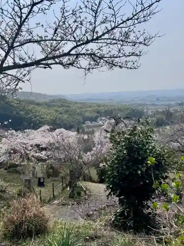 地蔵院の{uncategorized: "未分類", other: "その他", undefined: "問題あり", building: "その他建物", grave: "お墓", sacred_gate: "鳥居", guardian: "狛犬", statue: "像", buddha: "仏像", history: "歴史", nature: "自然", garden: "庭園", animal: "動物", pagoda: "塔", temizu: "手水舎", mountain_gate: "山門・神門", sanctuary: "本殿・本堂", subordinate: "末社・摂社", art: "芸術", scenery: "景色", jizo: "地蔵", ema: "絵馬", goshuin: "御朱印", omikuji: "おみくじ", items: "授与品その他", amulet: "お守り", goshuincho: "御朱印帳", eats: "食事", festival: "お祭り", votive_dance: "神楽", shichigosan: "七五三参", wedding: "結婚式", experience: "体験その他", initially: "初詣", around: "周辺", anti_infection: "感染症対策"}