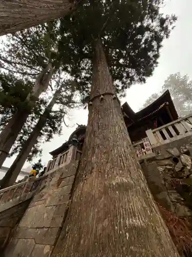 三峯神社の{uncategorized: "未分類", other: "その他", undefined: "問題あり", building: "その他建物", grave: "お墓", sacred_gate: "鳥居", guardian: "狛犬", statue: "像", buddha: "仏像", history: "歴史", nature: "自然", garden: "庭園", animal: "動物", pagoda: "塔", temizu: "手水舎", mountain_gate: "山門・神門", sanctuary: "本殿・本堂", subordinate: "末社・摂社", art: "芸術", scenery: "景色", jizo: "地蔵", ema: "絵馬", goshuin: "御朱印", omikuji: "おみくじ", items: "授与品その他", amulet: "お守り", goshuincho: "御朱印帳", eats: "食事", festival: "お祭り", votive_dance: "神楽", shichigosan: "七五三参", wedding: "結婚式", experience: "体験その他", initially: "初詣", around: "周辺", anti_infection: "感染症対策"}
