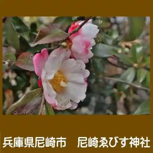 尼崎えびす神社の自然