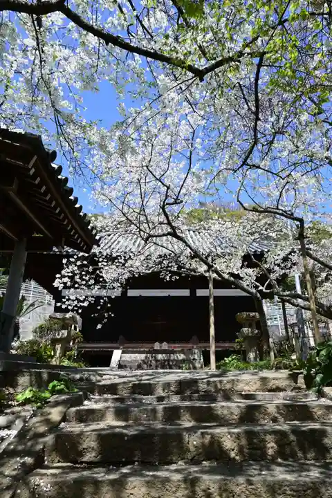 大宝寺(愛媛県)