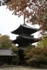 真正極楽寺（真如堂）(京都府)