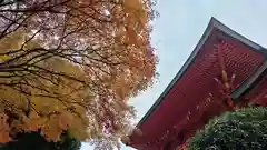 近江神宮(滋賀県)